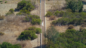 Rozzi - Fig Tree (Official Music Video)