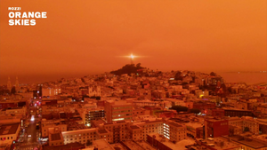 Rozzi - Orange Skies (Official Audio)